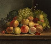 Still life, fruit oil on canvas painting by Van Diemonian (Tasmanian) artist and convict William Buelow Gould William Buelow Gould